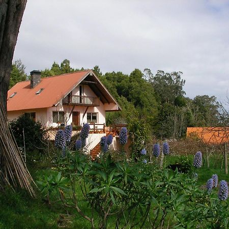 Bio Quinta Do Pantano, Agro Turismo Villa Santo Antonio da Serra Ngoại thất bức ảnh