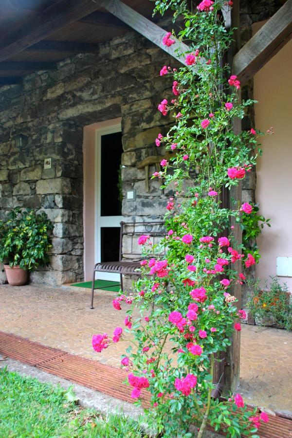 Bio Quinta Do Pantano, Agro Turismo Villa Santo Antonio da Serra Ngoại thất bức ảnh