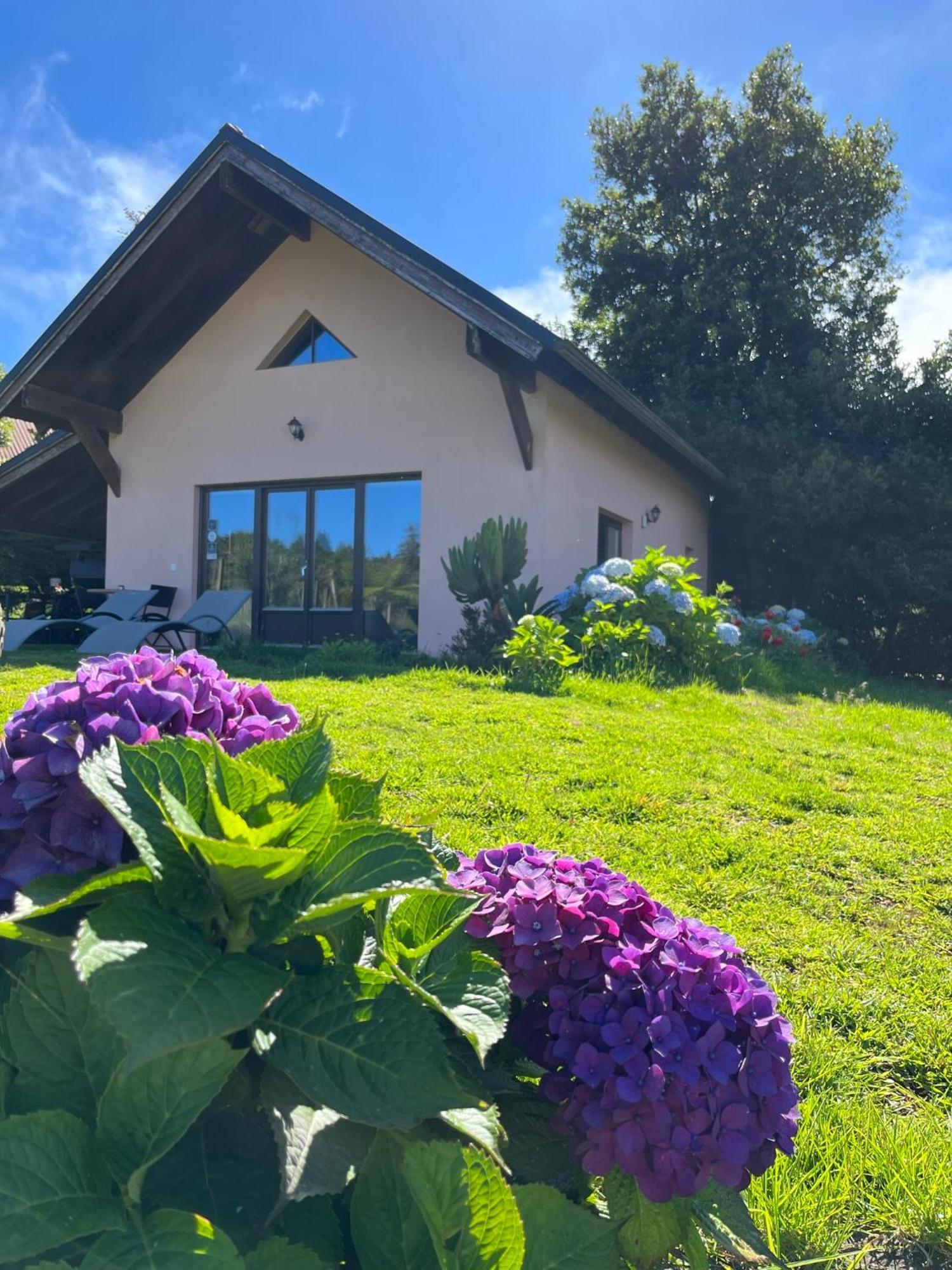 Bio Quinta Do Pantano, Agro Turismo Villa Santo Antonio da Serra Ngoại thất bức ảnh