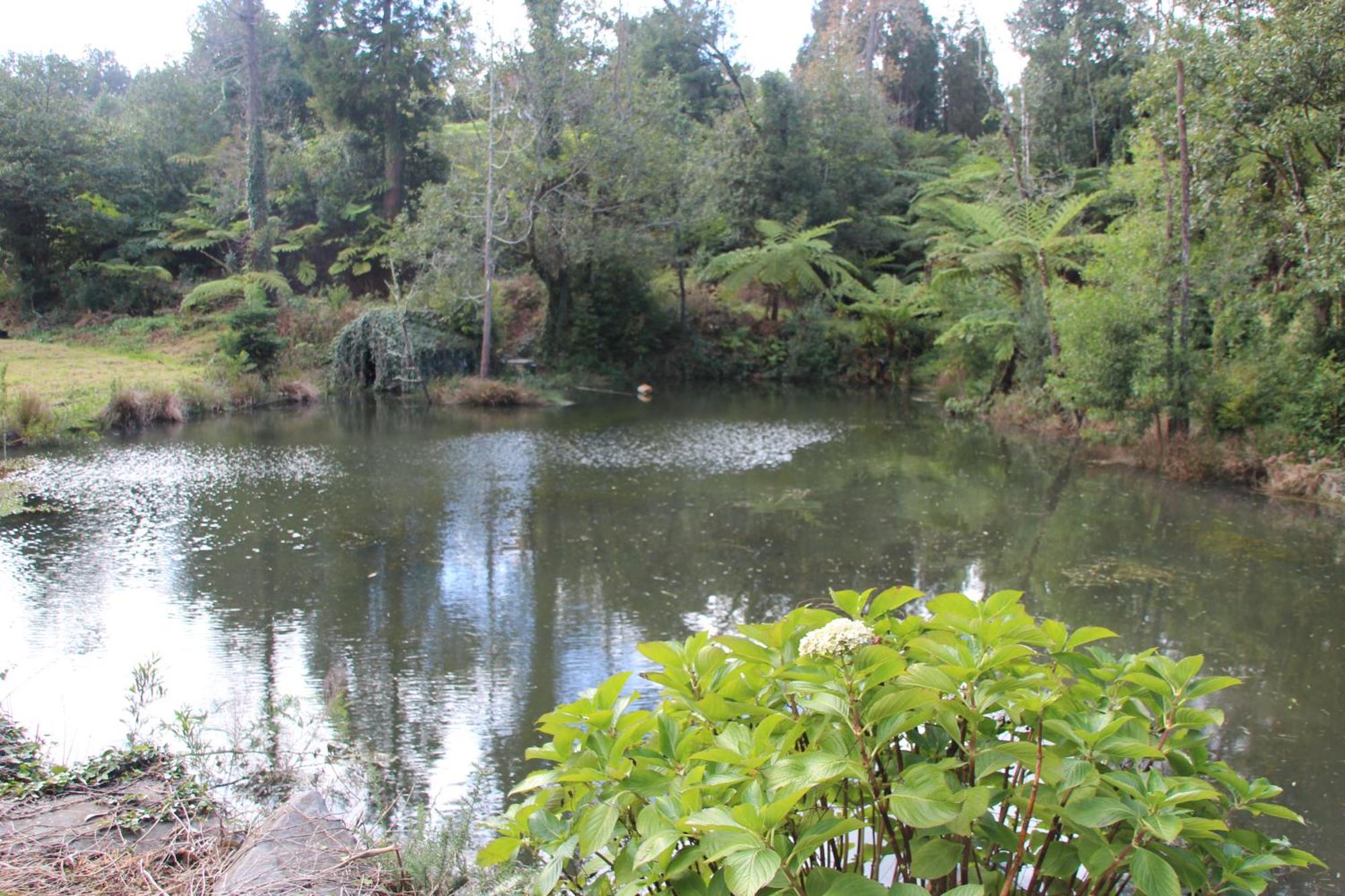 Bio Quinta Do Pantano, Agro Turismo Villa Santo Antonio da Serra Ngoại thất bức ảnh