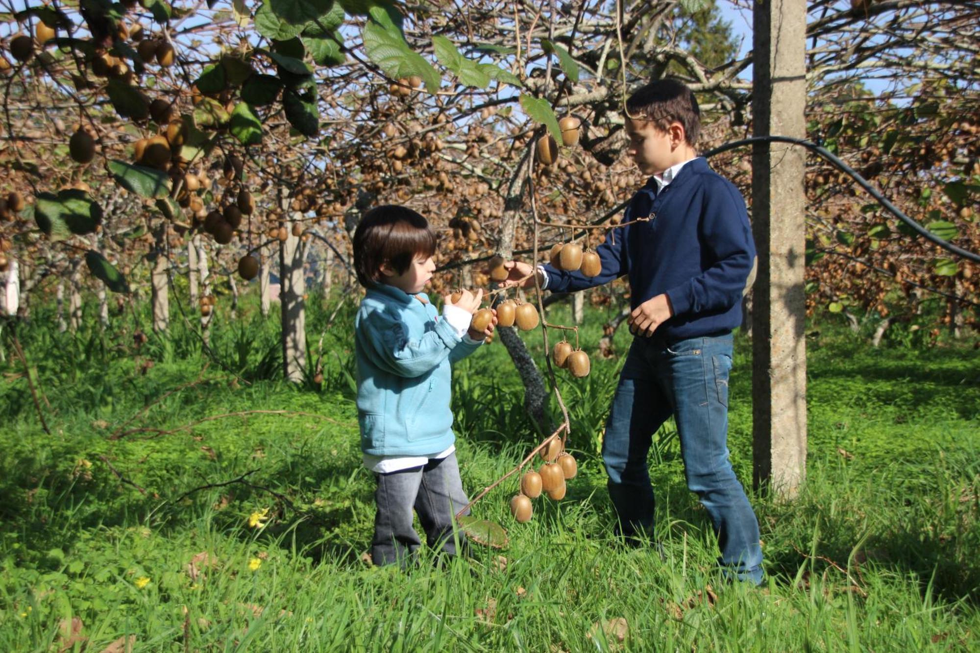 Bio Quinta Do Pantano, Agro Turismo Villa Santo Antonio da Serra Ngoại thất bức ảnh