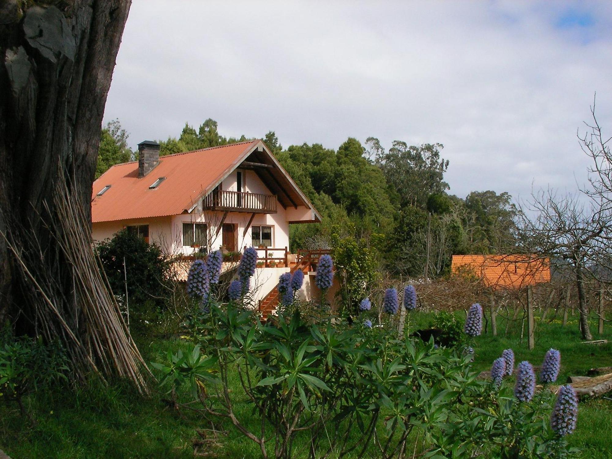 Bio Quinta Do Pantano, Agro Turismo Villa Santo Antonio da Serra Ngoại thất bức ảnh
