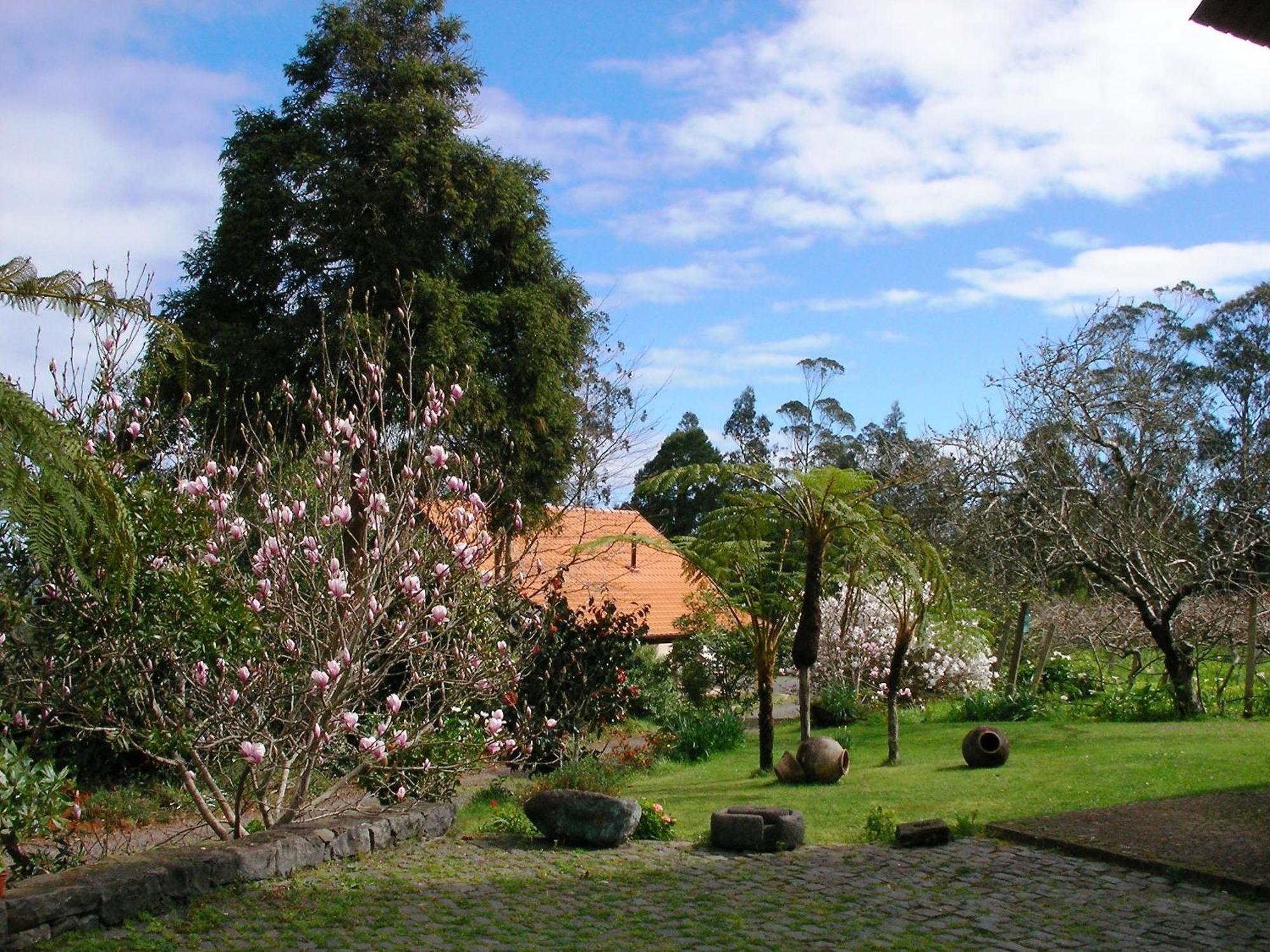 Bio Quinta Do Pantano, Agro Turismo Villa Santo Antonio da Serra Ngoại thất bức ảnh