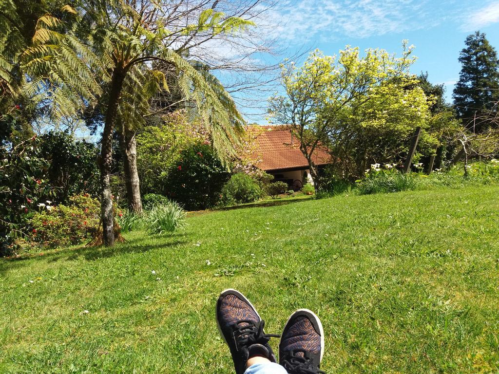 Bio Quinta Do Pantano, Agro Turismo Villa Santo Antonio da Serra Ngoại thất bức ảnh