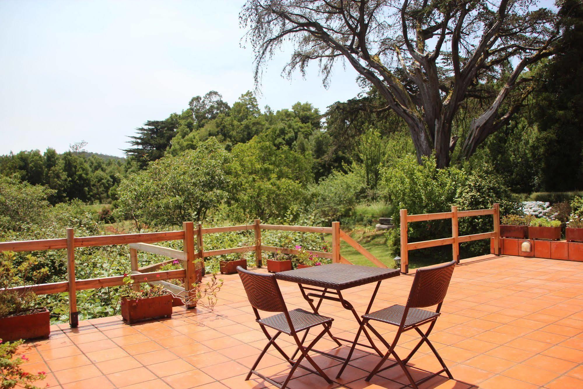 Bio Quinta Do Pantano, Agro Turismo Villa Santo Antonio da Serra Ngoại thất bức ảnh